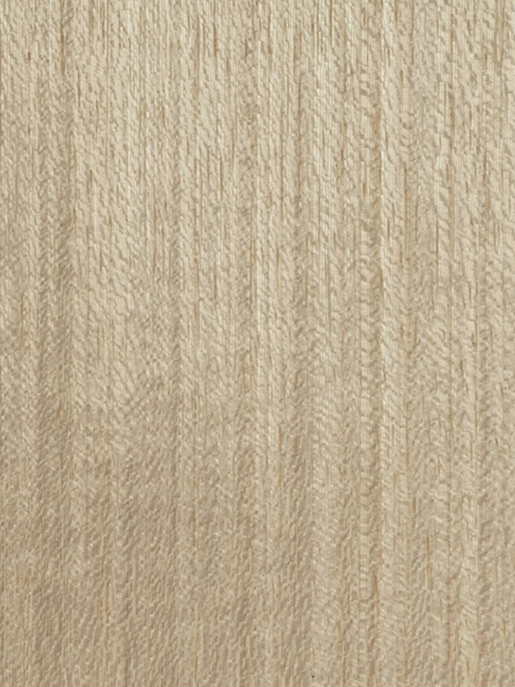 Dyed Koto 01